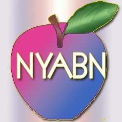 LGBTQ Organizations in New York New York - New York Area Bisexual Network