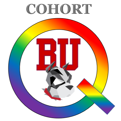 LGBTQ Organizations in Massachusetts - Cohort Q at BU